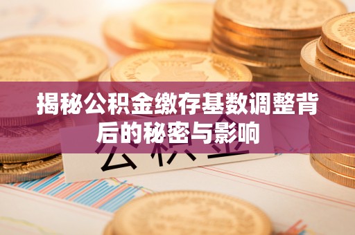 谷城揭秘公积金缴存基数调整背后的秘密与影响